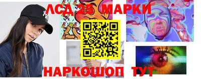 дмт Гудермес