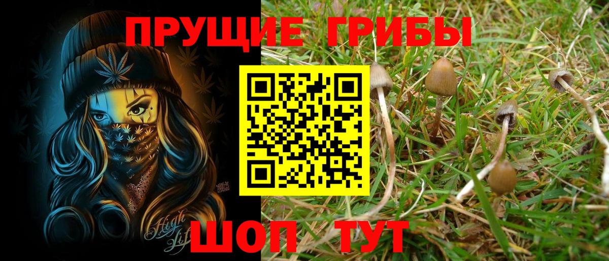 Галлюциногенные грибы GOLDEN TEACHER  Вход с VPN  Новочеркасск  сколько стоит  Псилоцибиновые грибы Cubensis 