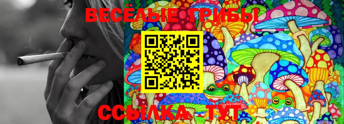 Псилоцибиновые грибы GOLDEN TEACHER Новочеркасск